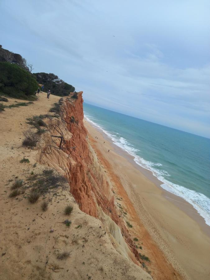 Paradise On The Beach 阿尔布费拉 外观 照片